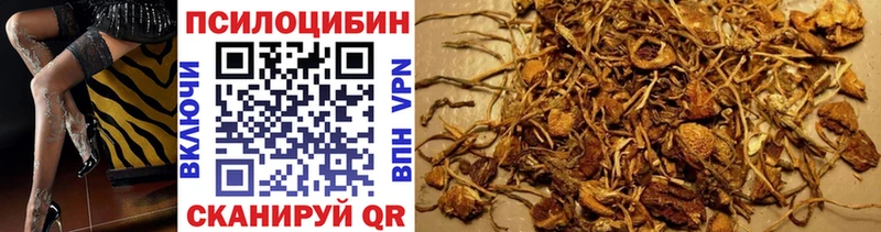 Псилоцибиновые грибы мухоморы  Купить где  Сегежа 